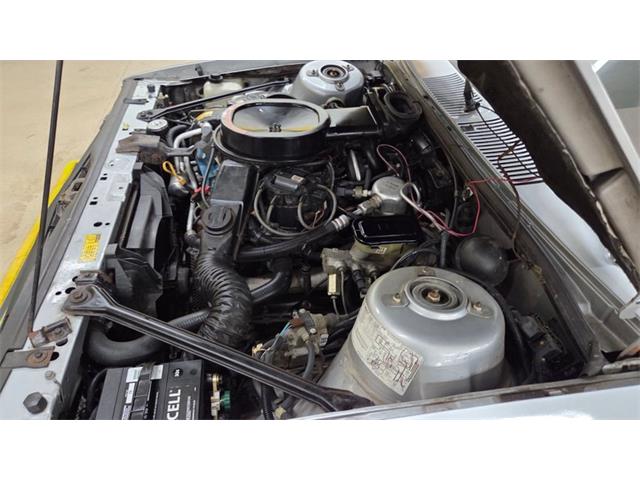 1982 Chevrolet Citation (CC-2084727) for sale in Mankato, Minnesota