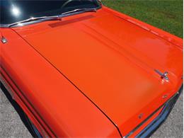 1964 Ford Falcon (CC-2084776) for sale in Palmetto, Florida