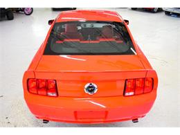 2006 Ford Mustang (CC-2084811) for sale in Wayne, Michigan