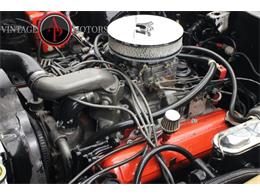 1979 International Scout (CC-2084830) for sale in Statesville, North Carolina