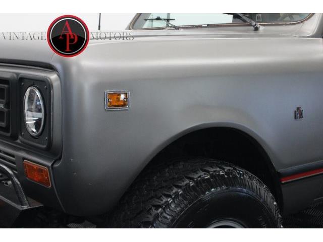 1979 International Scout (CC-2084830) for sale in Statesville, North Carolina