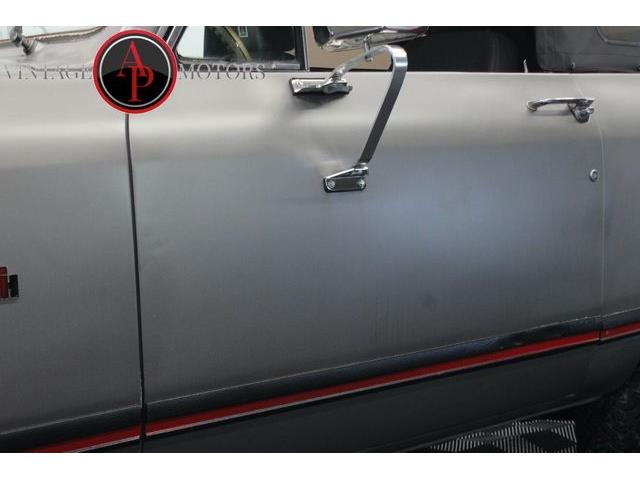 1979 International Scout (CC-2084830) for sale in Statesville, North Carolina