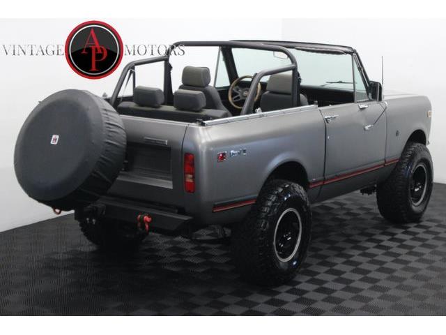 1979 International Scout (CC-2084830) for sale in Statesville, North Carolina