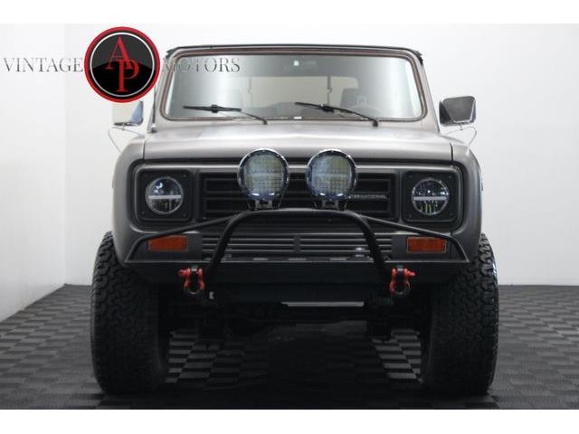 1979 International Scout (CC-2084830) for sale in Statesville, North Carolina