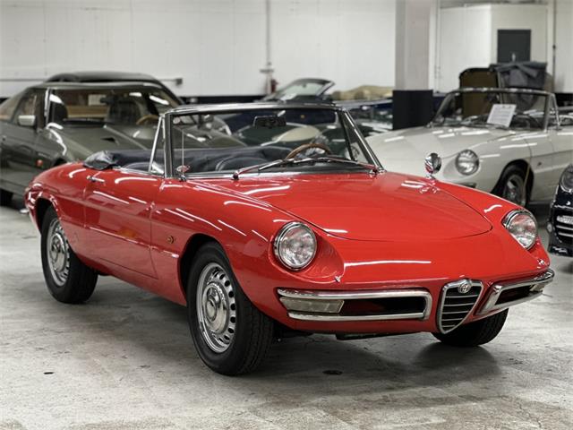 1968 Alfa Romeo 1600 (CC-2084831) for sale in Huntington Station, New York