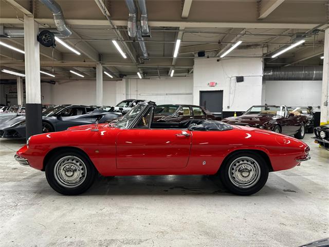 1968 Alfa Romeo 1600 (CC-2084831) for sale in Huntington Station, New York