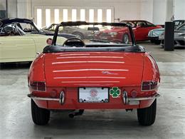 1968 Alfa Romeo 1600 (CC-2084831) for sale in Huntington Station, New York