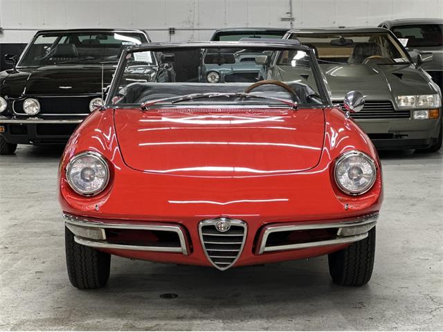 1968 Alfa Romeo 1600 (CC-2084831) for sale in Huntington Station, New York
