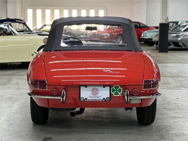 1968 Alfa Romeo 1600 (CC-2084831) for sale in Huntington Station, New York