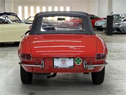 1968 Alfa Romeo 1600 (CC-2084831) for sale in Huntington Station, New York
