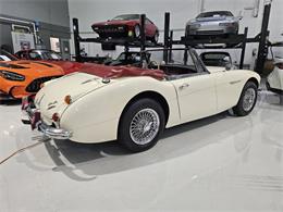 1965 Austin-Healey 3000 (CC-2084836) for sale in Charlotte, North Carolina