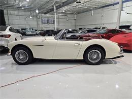 1965 Austin-Healey 3000 (CC-2084836) for sale in Charlotte, North Carolina