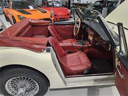 1965 Austin-Healey 3000 (CC-2084836) for sale in Charlotte, North Carolina