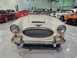 1965 Austin-Healey 3000 (CC-2084836) for sale in Charlotte, North Carolina