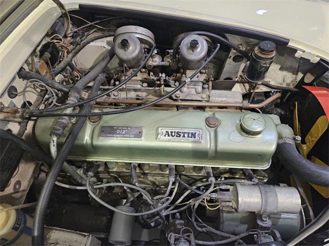 1965 Austin-Healey 3000 (CC-2084836) for sale in Charlotte, North Carolina