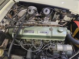 1965 Austin-Healey 3000 (CC-2084836) for sale in Charlotte, North Carolina