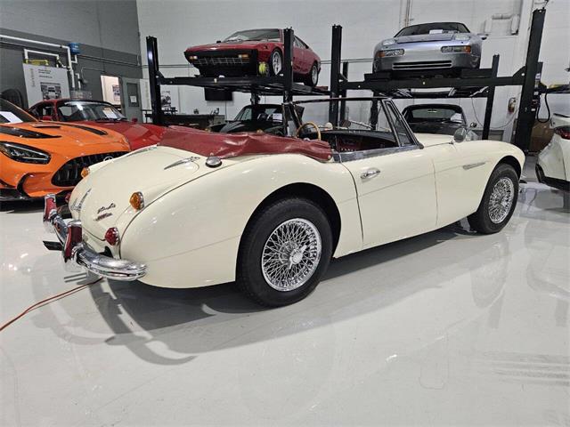 1965 Austin-Healey 3000 (CC-2084836) for sale in Charlotte, North Carolina
