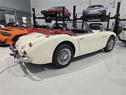 1965 Austin-Healey 3000 (CC-2084836) for sale in Charlotte, North Carolina