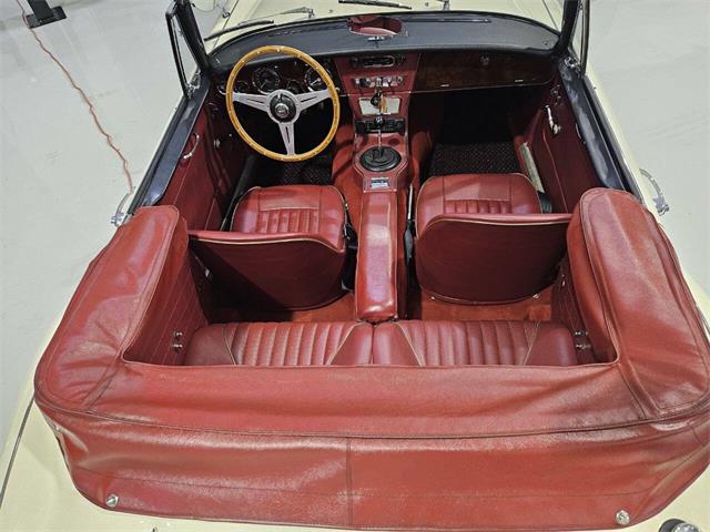 1965 Austin-Healey 3000 (CC-2084836) for sale in Charlotte, North Carolina