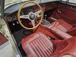 1965 Austin-Healey 3000 (CC-2084836) for sale in Charlotte, North Carolina