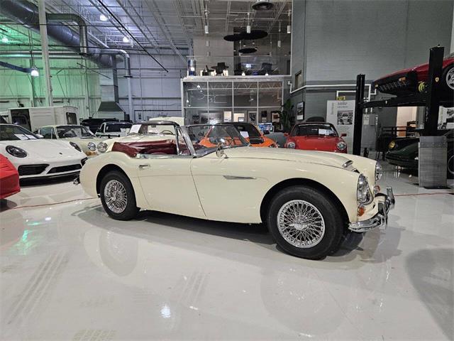 1965 Austin-Healey 3000 (CC-2084836) for sale in Charlotte, North Carolina