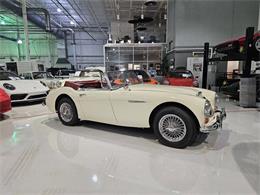 1965 Austin-Healey 3000 (CC-2084836) for sale in Charlotte, North Carolina