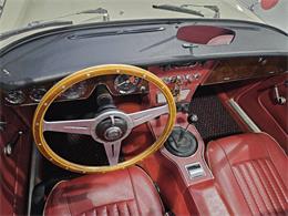1965 Austin-Healey 3000 (CC-2084836) for sale in Charlotte, North Carolina