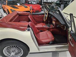1965 Austin-Healey 3000 (CC-2084836) for sale in Charlotte, North Carolina