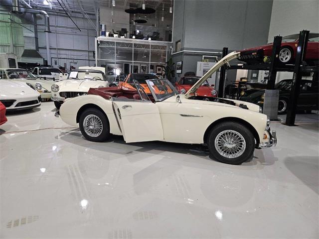 1965 Austin-Healey 3000 (CC-2084836) for sale in Charlotte, North Carolina
