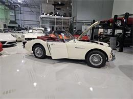 1965 Austin-Healey 3000 (CC-2084836) for sale in Charlotte, North Carolina