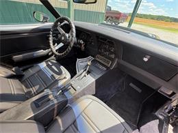 1978 Chevrolet Corvette (CC-2084842) for sale in Nashville, Illinois