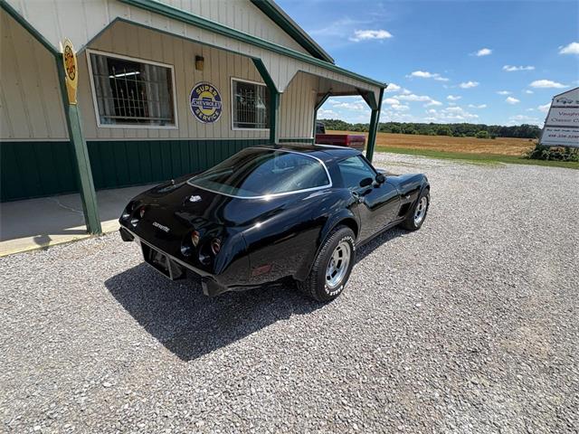 1978 Chevrolet Corvette (CC-2084842) for sale in Nashville, Illinois