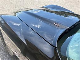 1978 Chevrolet Corvette (CC-2084842) for sale in Nashville, Illinois