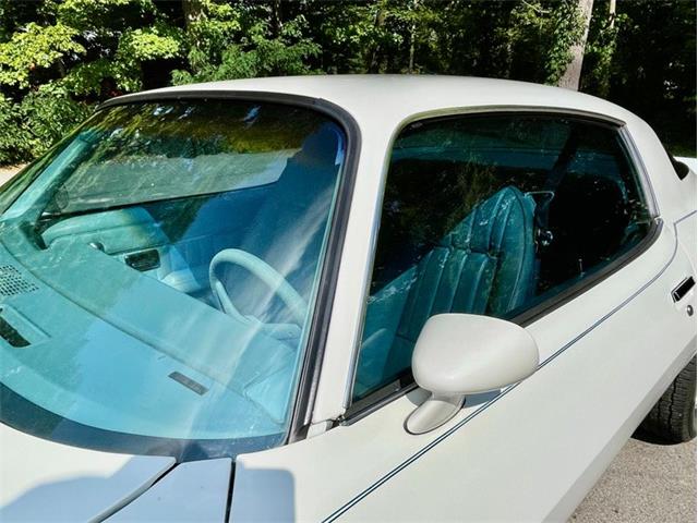 1979 Chevrolet Camaro (CC-2084855) for sale in Saugatuck, Michigan