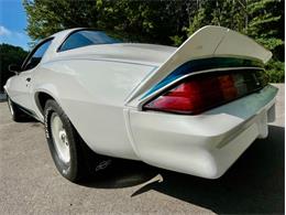1979 Chevrolet Camaro (CC-2084855) for sale in Saugatuck, Michigan