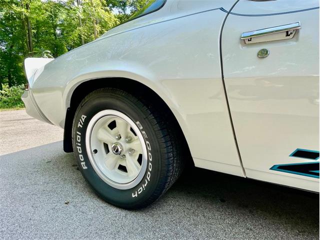 1979 Chevrolet Camaro (CC-2084855) for sale in Saugatuck, Michigan