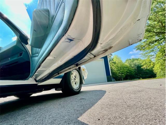 1979 Chevrolet Camaro (CC-2084855) for sale in Saugatuck, Michigan
