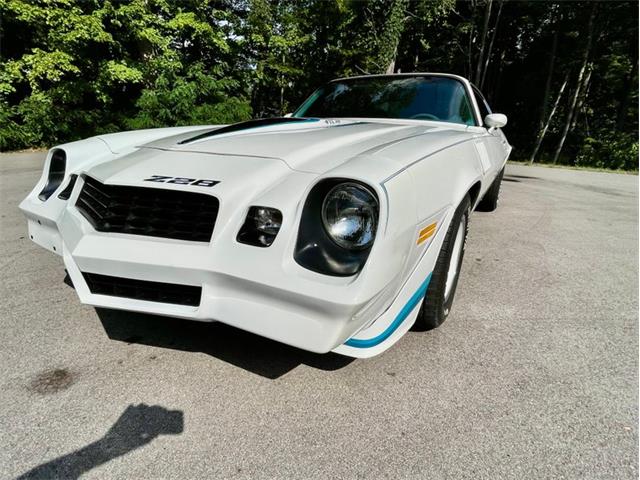 1979 Chevrolet Camaro (CC-2084855) for sale in Saugatuck, Michigan