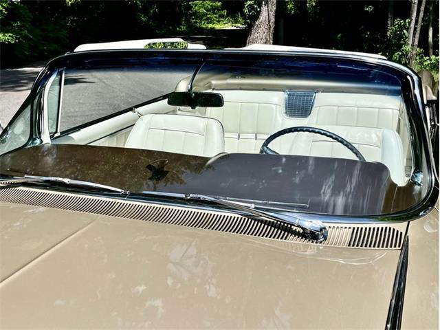 1960 Cadillac Eldorado Biarritz (CC-2084860) for sale in Saugatuck, Michigan