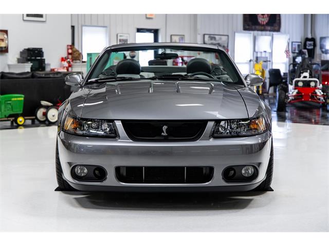 2003 Ford Mustang Cobra (CC-2084932) for sale in Seekonk, Massachusetts