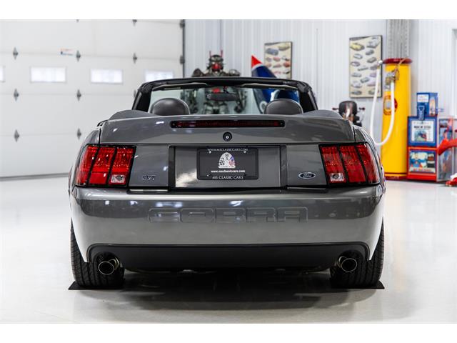 2003 Ford Mustang Cobra (CC-2084932) for sale in Seekonk, Massachusetts