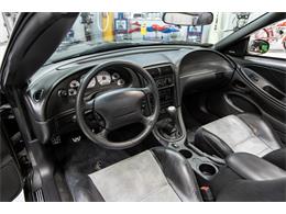 2003 Ford Mustang Cobra (CC-2084932) for sale in Seekonk, Massachusetts