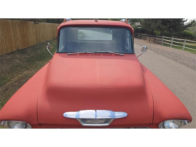 1955 Chevrolet 3100 (CC-2084940) for sale in Lakewood, Colorado