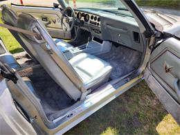 1979 Pontiac Firebird Trans Am (CC-2084963) for sale in HOPEDALE, Massachusetts