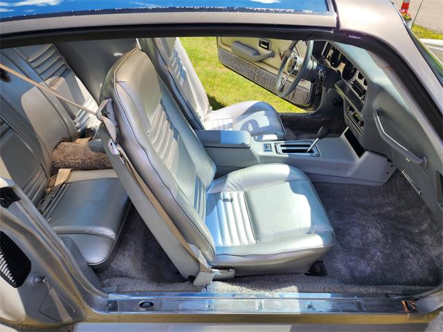 1979 Pontiac Firebird Trans Am (CC-2084963) for sale in HOPEDALE, Massachusetts