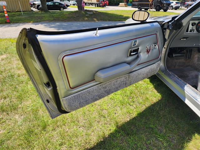 1979 Pontiac Firebird Trans Am (CC-2084963) for sale in HOPEDALE, Massachusetts