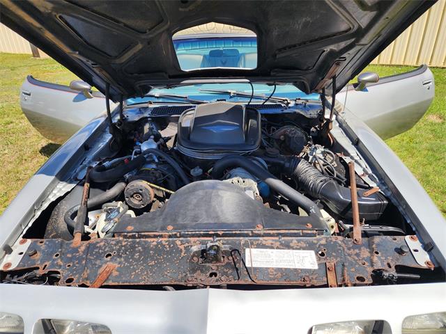 1979 Pontiac Firebird Trans Am (CC-2084963) for sale in HOPEDALE, Massachusetts