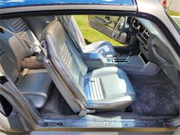 1979 Pontiac Firebird Trans Am (CC-2084964) for sale in HOPEDALE, Massachusetts