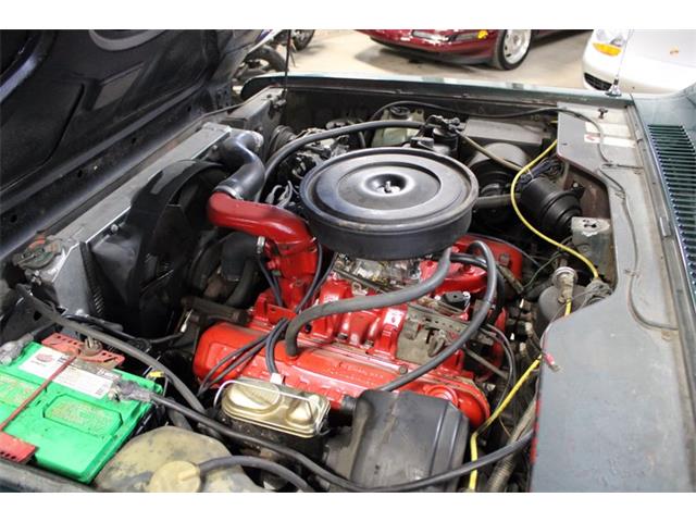 1979 International Scout (CC-2084975) for sale in Kentwood, Michigan