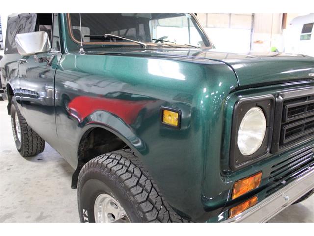 1979 International Scout (CC-2084975) for sale in Kentwood, Michigan